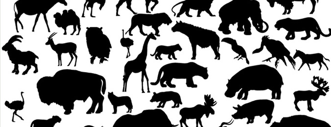 Free Vector Set of 41 Animal Silhouettes Image Preview
