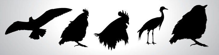 Free Vector Set of Birds Silhouettes Image Preview
