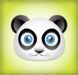 panda face