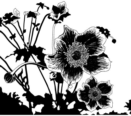 Floral Vector Free