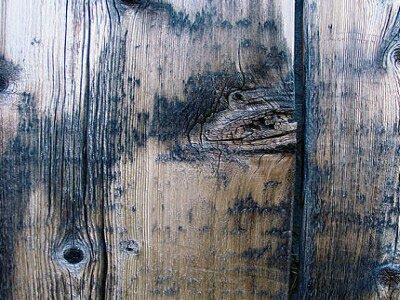 wood texture preview