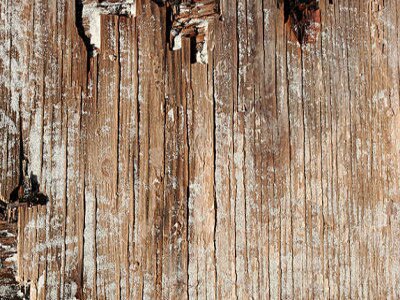 wood texture preview